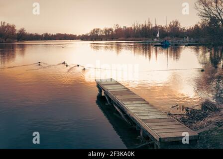 Ein Steg am See mit Sonnenuntergang vor einer Baumsiluette. Stockfoto