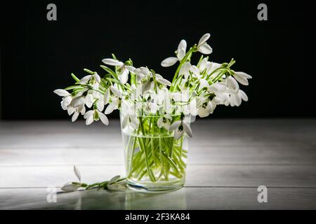 Bouquet von weißen Schneeglöckchen Galanthus nivalis in Glas auf dunklen Tönen auf Holz Hintergrund. Stockfoto
