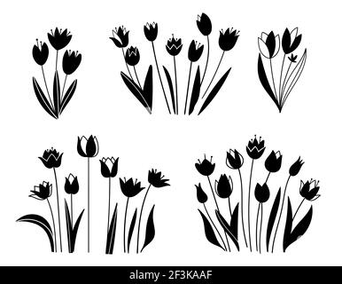 Set mit Blumenmuster. Skizzen von Blumen, Pflanzen, Blättern. Handgezeichnete Abbildung. Silhouette von Tulpen in schwarz-weiß Stil. Frühlingsblumen isoliert auf wh Stock Vektor