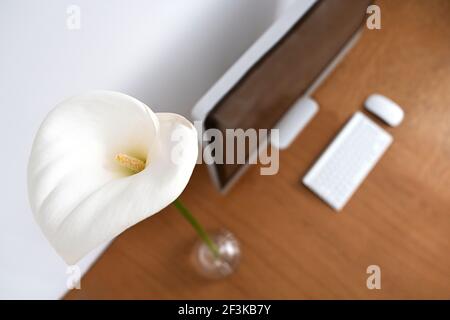 Arbeitsplatz in einem minimalistischen Stil. Monitor, Tastatur und Maus auf einem Holztisch neben einer Hausblume und Calla Lilien. Speicherplatz kopieren. Stockfoto