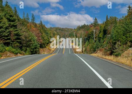 Fahren Sie auf dem Highway 60 in Algonquin Park, Kanada Stockfoto