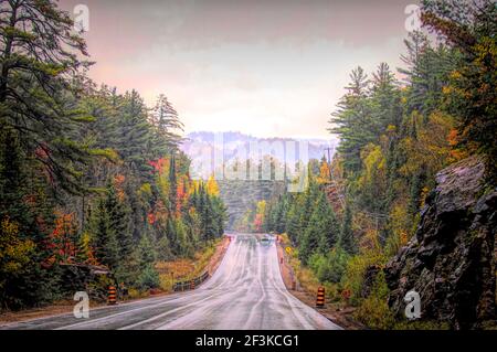 Fahren Sie auf dem Highway 60 in Algonquin Park, Kanada Stockfoto