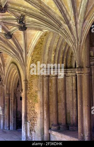 Lacock Abbey, einst Heimat von William Fox Talbot of Photography Fame, Wiltshire, England Stockfoto