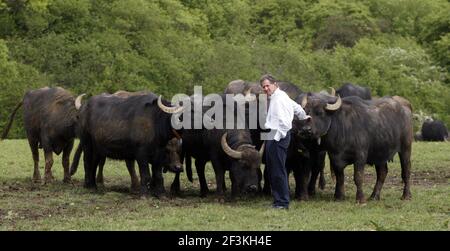 Jody Scheckter auf seiner Farm Laverstoke Park Farm in Hampshire PIC David Sandison Stockfoto