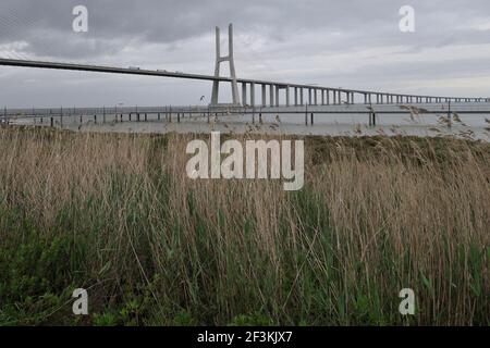 Vasco da Gama Brücke über den Tejo, Lissabon, Portugal. Vasco da Gama Brücke ist die längste in Europa, mit einer Gesamtlänge von 17,2 km. Bau f Stockfoto