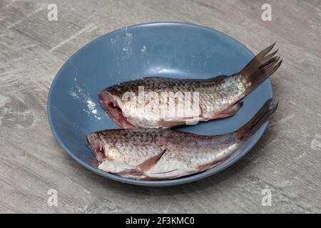 Frischer Karauschen-Karpfen-Fisch aus der Nähe auf einem Teller in der heimischen Küche. Fisch zum Braten geschält Stockfoto