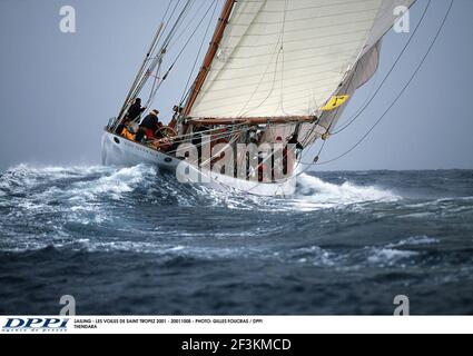 SEGELN - LES VOILES DE SAINT TROPEZ 2001 - 20011005 - FOTO: GILLES FOUCRAS / DPPI THENDARA Stockfoto