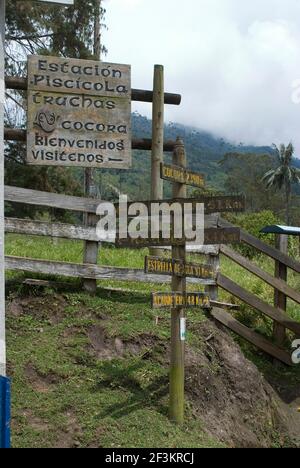 Das Valle de Corcora, ein Eingang zum Parque Nacional de los Nevados, Kolumbien Stockfoto