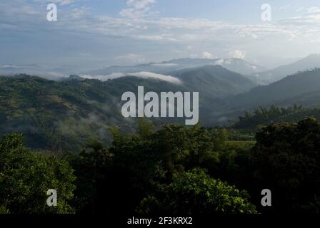 Blick auf das Tal von der Hacienda El Caney (Plantage), in der Kaffeeanbauregion, in der Nähe von Manizales, Kolumbien Stockfoto