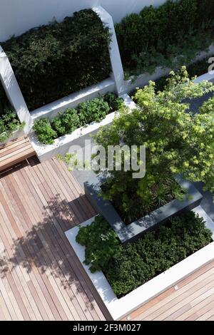 Eine Reihe von gerenderten und bemalten Stützmauern und Hochbetten. Hartholz-Terrassenbereich mit schwimmender Bank. Zentrales Hochbett mit fokalem, sommergrünen Tre Stockfoto