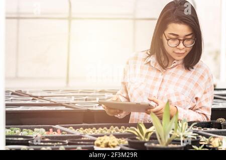 Eine junge Frau, die ein kariertes Hemd trägt, überprüft den Verkaufsfortschritt auf einem Tablet am Kaktus. Eine schöne asiatische Frau schaut auf ihr Tablet für den Verkauf Stockfoto