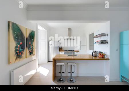 Moderne weiße offene Küche mit Schmetterlingskunst in Großbritannien Zu Hause Stockfoto