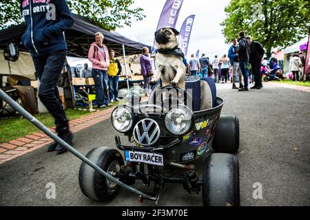 VW Bus Freunde aus aller Welt treffen sich beim Busfest / Vanfest in Great Malvern / Großbritannien Stockfoto