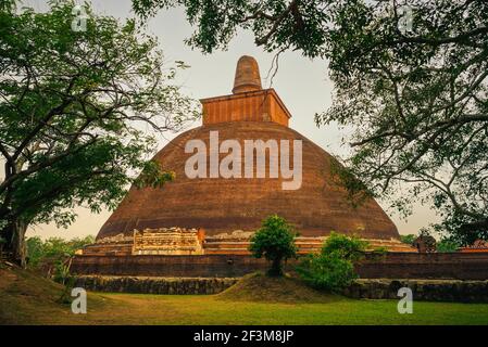 Jetavanaramaya Dagaba in Anuradhapura, Sri Lanka. unesco-Weltkulturerbe. Stockfoto