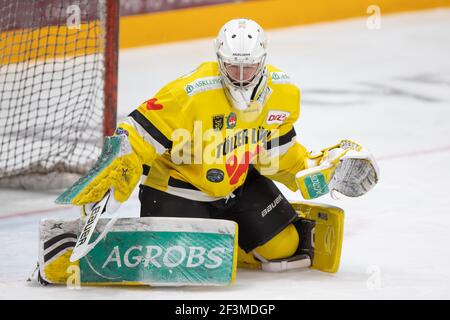 08. März 2021, Hessen, Frankfurt/Main: Torwart Henrik Huwer (Tölzer Loewen, 30). DEL 2 Eishockey-Spiel zwischen dem Loewen Frankfurt und dem Tölzer Loewen am 8. März 2021 in der Eissporthalle Frankfurt am Main. Foto: Jürgen Kessler/Kessler-Sportfotografie/dpa Stockfoto