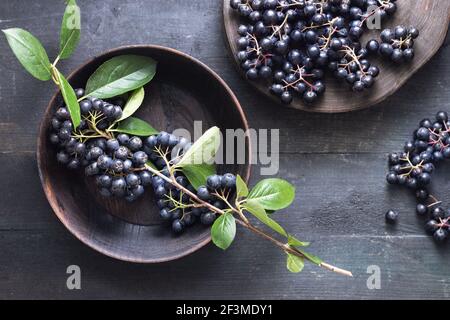Frisch gepflückte selbstgewachsene Aronia-Beeren auf Holztisch Stockfoto