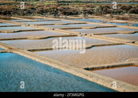 Landschaft von Salzwiesen in Guerande Halbinsel, Frankreich Stockfoto