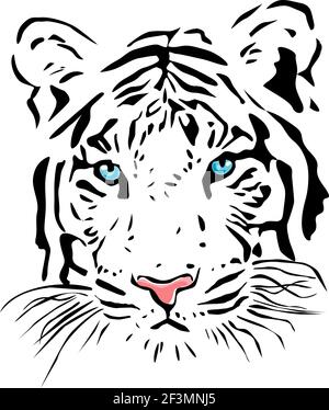 Weißer Tiger. Vektorgrafik. Stock Vektor