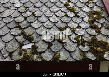Norwegen traditionelle Stein Schiefer Dach. Alte Steinschieferfliesen mit Moos und Flechten bedeckt. Norwegische Architektur. Stockfoto
