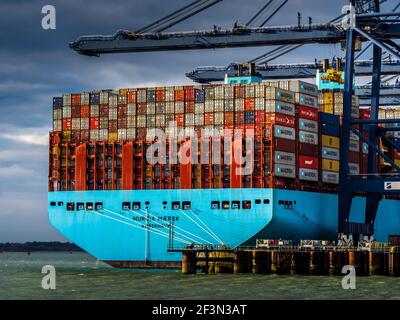 Maersk Line - Britische Importe - der Maersk Herrera Container Das Schiff dockte am Felixstowe Port UK an und brachte Importe aus dem Fernost nach Großbritannien und Europa Stockfoto