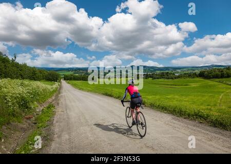 Schotterpisten rund um Borgjafjorden nördlich von Trondheim, Norwegen. Stockfoto