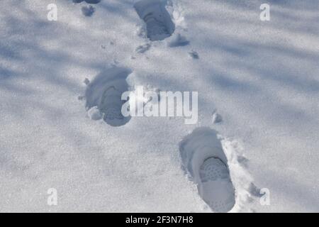 Kurvenreiche Fußabdrücke von Wanderern im Tiefschnee zwischen den Bäume Stockfoto