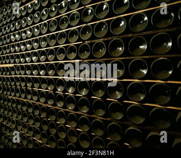 Wenn der Wein über einen längeren Zeitraum in Flaschen gelagert wird, sollte er horizontal gelegt werden. Feine Weine reifen mit zunehmendem Alter und können über Jahrzehnte gelagert werden. Stockfoto