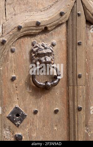 Altmodische Holztür mit Nieten und Löwentür. Stockfoto