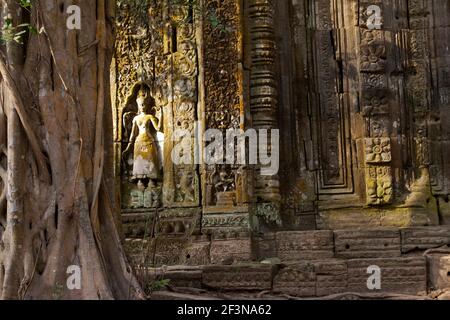 Außenwand mit Flachreliefs und Apsara auf der Außengalerie Von Ta Prohm - gebaut vom Khmer König Jayavarman VII als buddhistischer Mahayana-Monaster Stockfoto