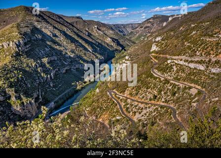 Haarnadelkurven auf der Straße D43, über dem Fluss Tarn, Gorges du Tarn, in der Nähe des Dorfes La Malene, Gemeinde im Département Lozere, Region Okzitanien, Frankreich Stockfoto