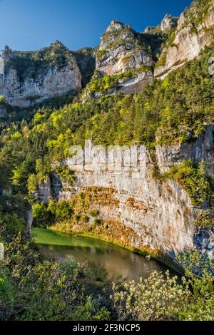 Les Detroits Klippen, Fluss Tarn, Gorges du Tarn, in der Nähe von Dorf La Malene, Gemeinde im Département Lozere, Region Okzitanien, Frankreich Stockfoto