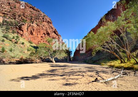 Australien, NT, McDonnell Range, Simpsons Gap Stockfoto