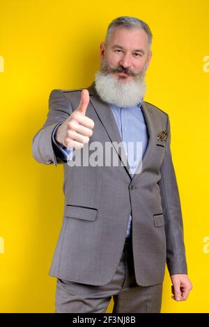 Studio Porträt reifen bärtigen Geschäftsmann in grauen Anzug gekleidet zeigt Daumen nach oben, erfolgreiche Geschäftskonzept, gelber Hintergrund Stockfoto