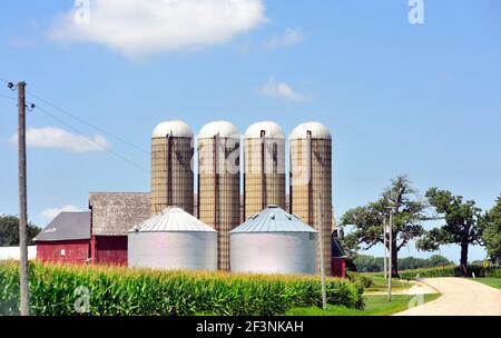 Burlington, Illinois, USA. Lagersilos an einer Landstraße auf einem Bauernhof im Nordosten von Illinois. Stockfoto