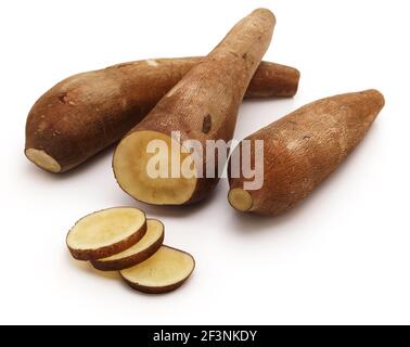 Yacon ist knackige, süß schmeckende, tuberöse Wurzel; peruanisches Superfood Stockfoto