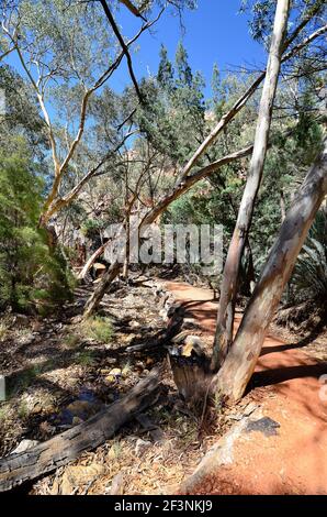 Australien, NT, Fußweg in Standley Chasm, MacDonnell Nationalpark Stockfoto