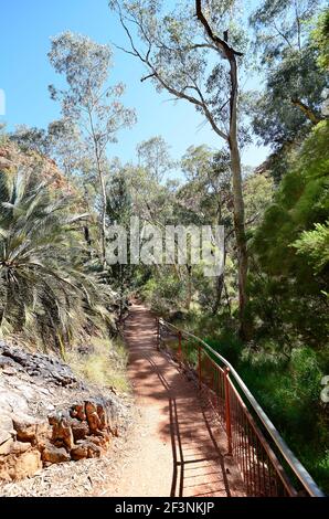 Australien, NT, Fußweg in Standley Chasm, MacDonnell Nationalpark Stockfoto