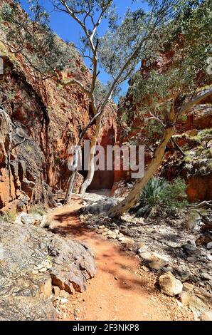 Australien, NT, Fußweg in Standley Chasm, MacDonnell Nationalpark Stockfoto