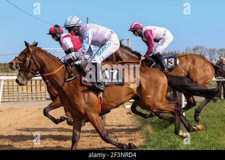 Down Royal, Lisburn, County Antrim, Nordirland. März 2021, 17. St. Patrick's Day Race Meeting - Bluegrasshorsefeed.com Maiden Hürde - Rennen von Homme D'un Soir (Nummer 2) gewonnen. Kredit: CAZIMB/Alamy Live Nachrichten. Stockfoto