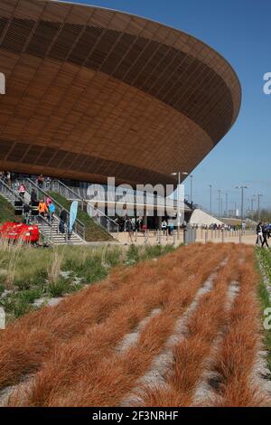 Ziergräsern bepflanzt vor dem Velodrom. Stockfoto