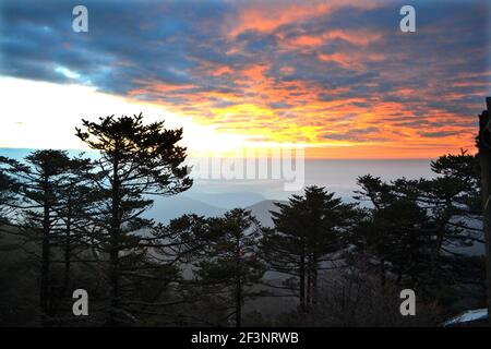 Bei Sonnenaufgang ragt die Sonne von hinter den Gipfeln der Berge aus, die Wolken werden mit einem fabelhaften, warmen Licht mit Kiefer im Hintergrund watchin beleuchtet Stockfoto