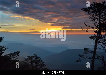 Bei Sonnenaufgang ragt die Sonne von hinter den Gipfeln der Berge aus, die Wolken werden mit einem fabelhaften, warmen Licht mit Kiefer im Hintergrund watchin beleuchtet Stockfoto