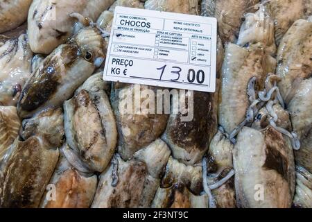 Tintenfisch auf dem Markt in Tavira, Algarve Portugal Stockfoto