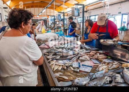 Frischer Fisch auf dem Markt in Fuseta, Algarve, Portugal Stockfoto