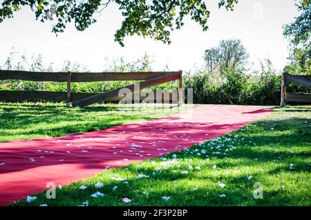 Roter Teppich für den Weg zum Altar, in einem Park unter Bäumen angelegt, mit Blütenblättern, Licht und Schatten Spiel bestreut Stockfoto