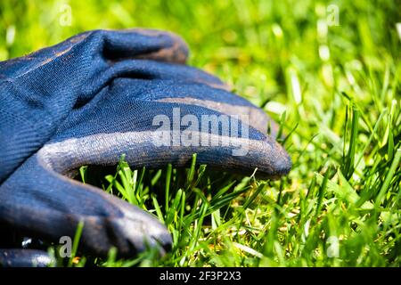 Makro Nahaufnahme von schützenden Sicherheit blau Nitril Gartenhandschuhe mit Gummigriff liegt auf grünem Rasen im Hausgarten Stockfoto