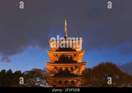 Die fünfstöckige hölzerne Pagode des Toji-Tempels (der höchste hölzerne Turm Japans) wird in der Dämmerung im Zentrum von Kyoto, Japan, beleuchtet. Toji-Tempel ist Stockfoto