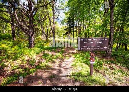 Straße mit Wegweiser in Shenandoah Blue Ridge Appalachian Berge Auf Skyline Fahrt für Geschichte der Wald Natur Wandern Trail im Sommer mit gr Stockfoto