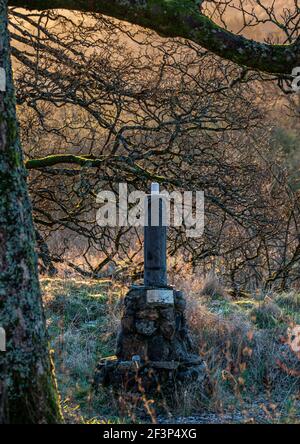 Sonnenaufgang im eritreischen Martyrs Woodland in Schottland. Von der schottischen eritreischen Gemeinschaft ins Gedächtnis derer, die ihr Leben für die geopfert Stockfoto