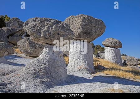 Pilzförmige Felsformationen im Tal der Pilze / Valle de Ongos in der Nähe der Stadt Creel, Sierra Madre Occidental, Chihuahua, Mexiko Stockfoto